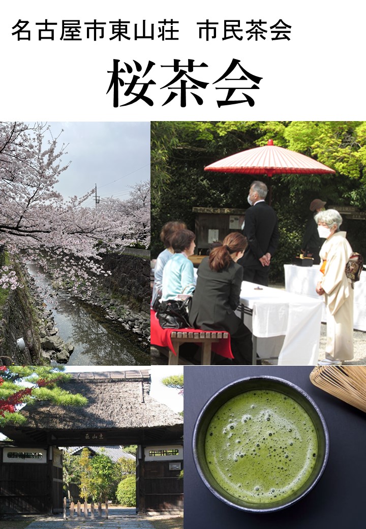 【当日券完売】桜茶会（市民茶会４月）のチラシ